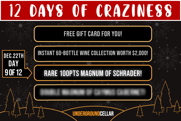 12 Days of Craziness