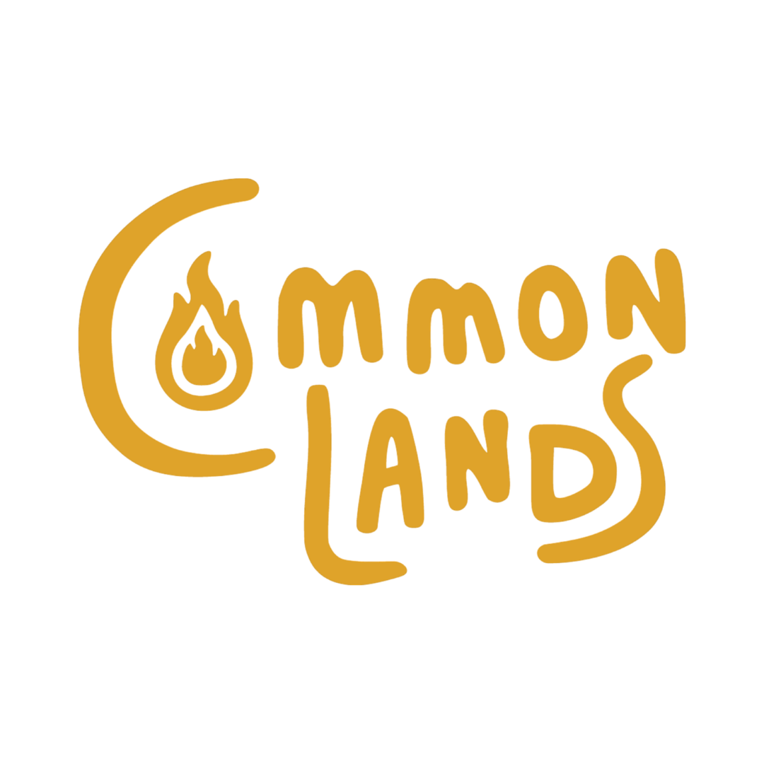 Common Lands — coin shop photo