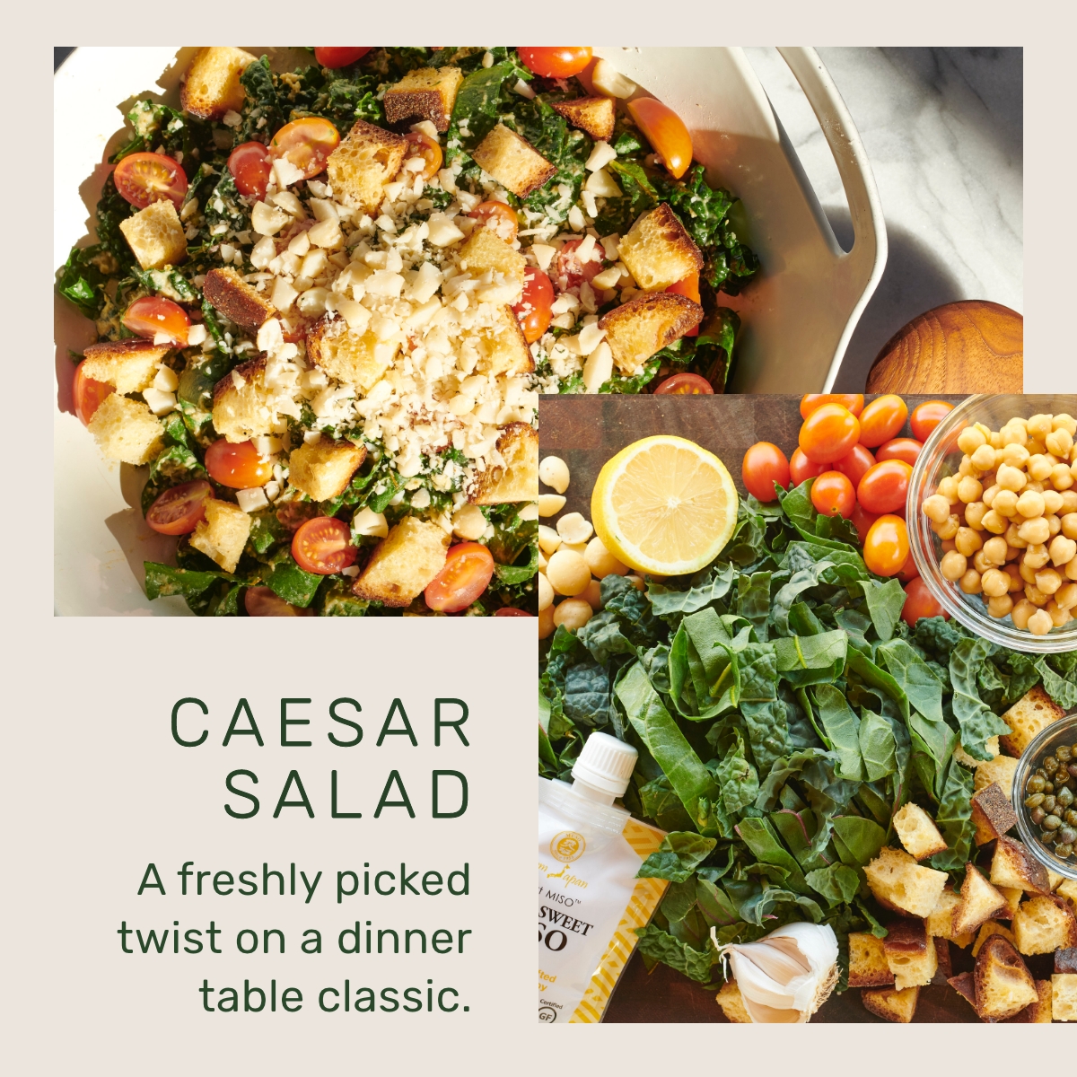 WITH LOVE, ZOOEY DESCHANEL 👋 🥬 Lettuce Grow