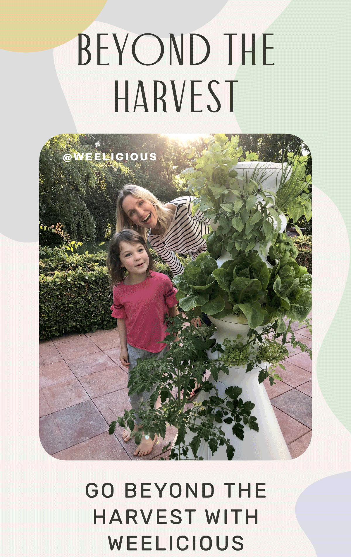 ABSOLUTELY WEELICIOUS 💚 Lettuce Grow