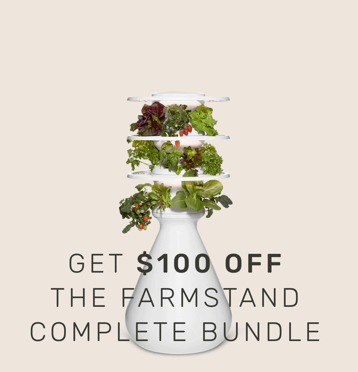 WANT IT ALL? 🥬 Lettuce Grow