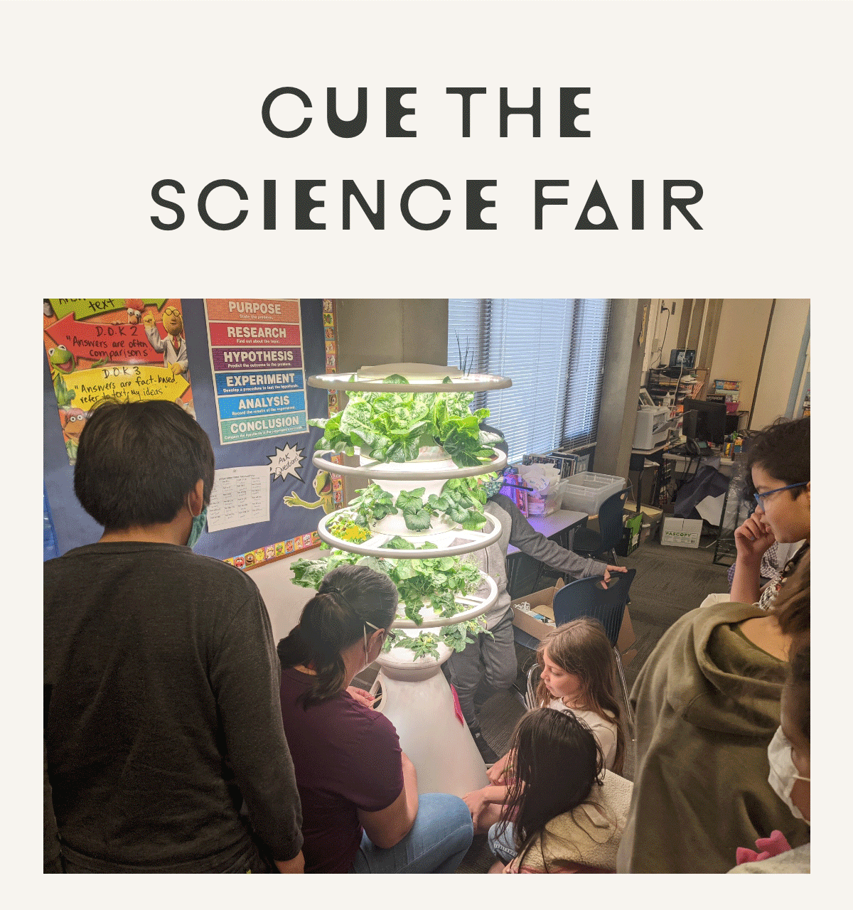 THE MORE YOU KNOW Lettuce Grow