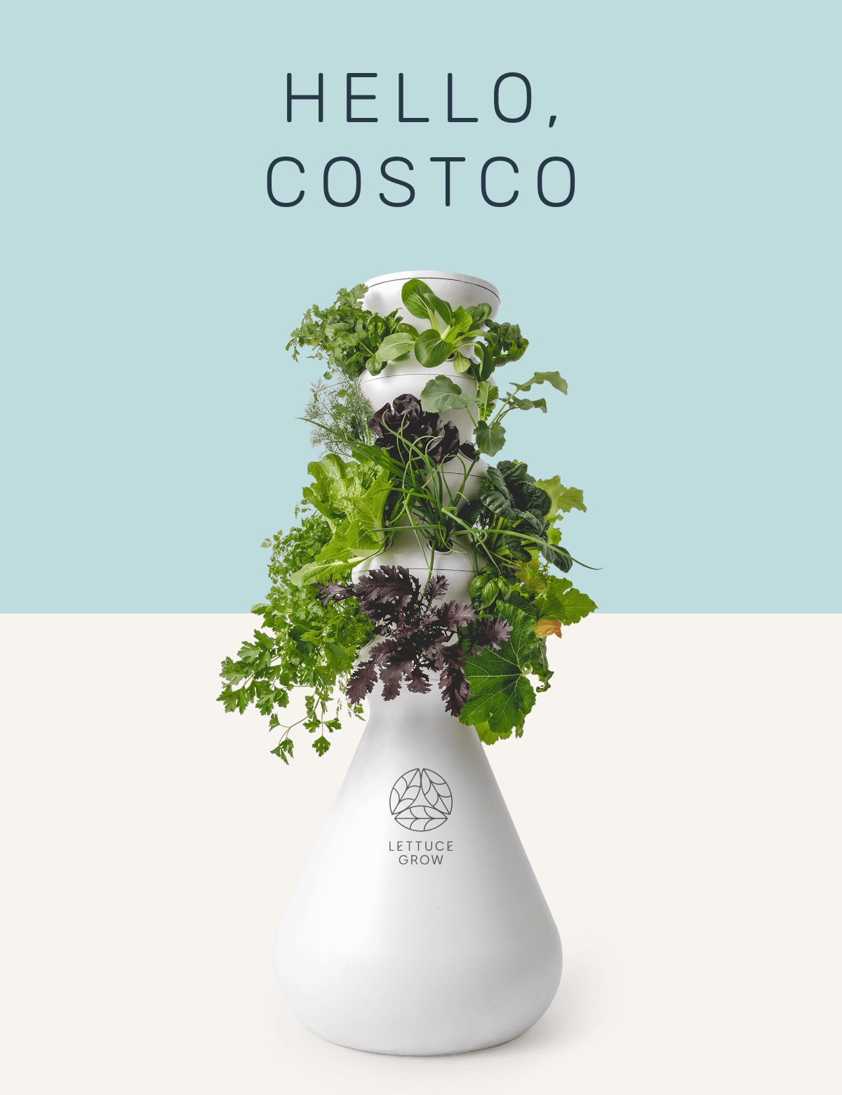 BREAKING NEWS Lettuce Grow