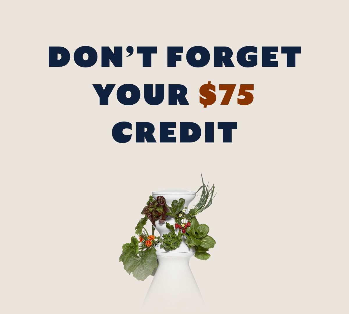 A VERY FRIENDLY REMINDER 💸👀 Lettuce Grow