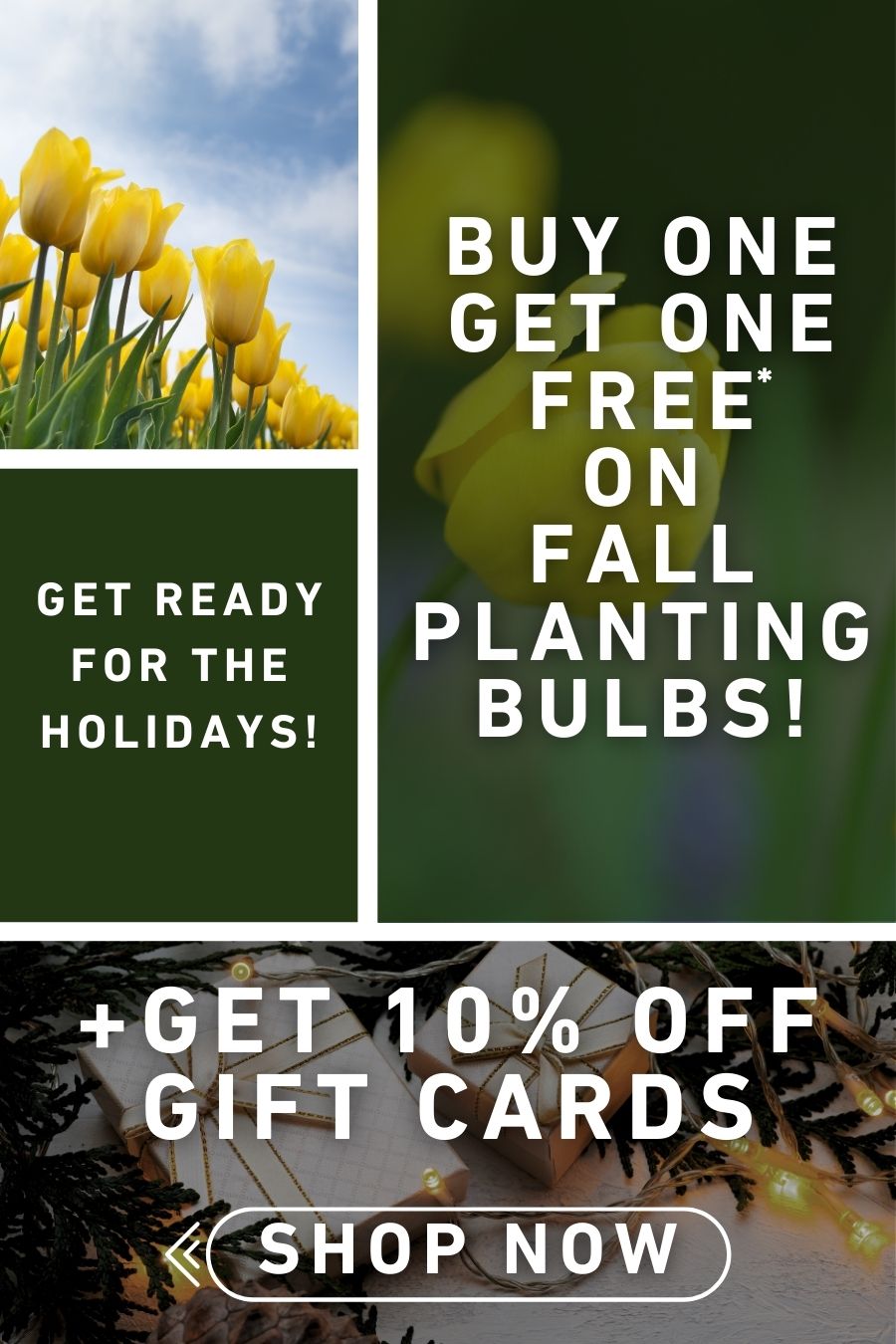 Get ready for the holidays with BOGO Bulbs & 10% off gift cards!