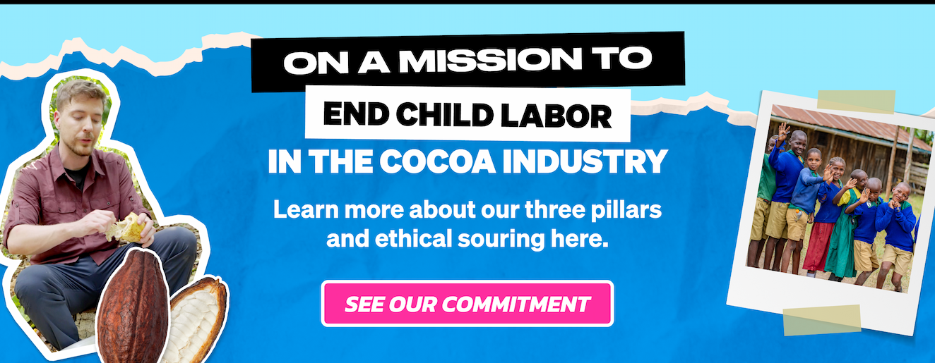 Feastables is on a mission to end child labor in the cocoa industry. Learn more about our three pillars and ethical sourcing here. See our commitment!