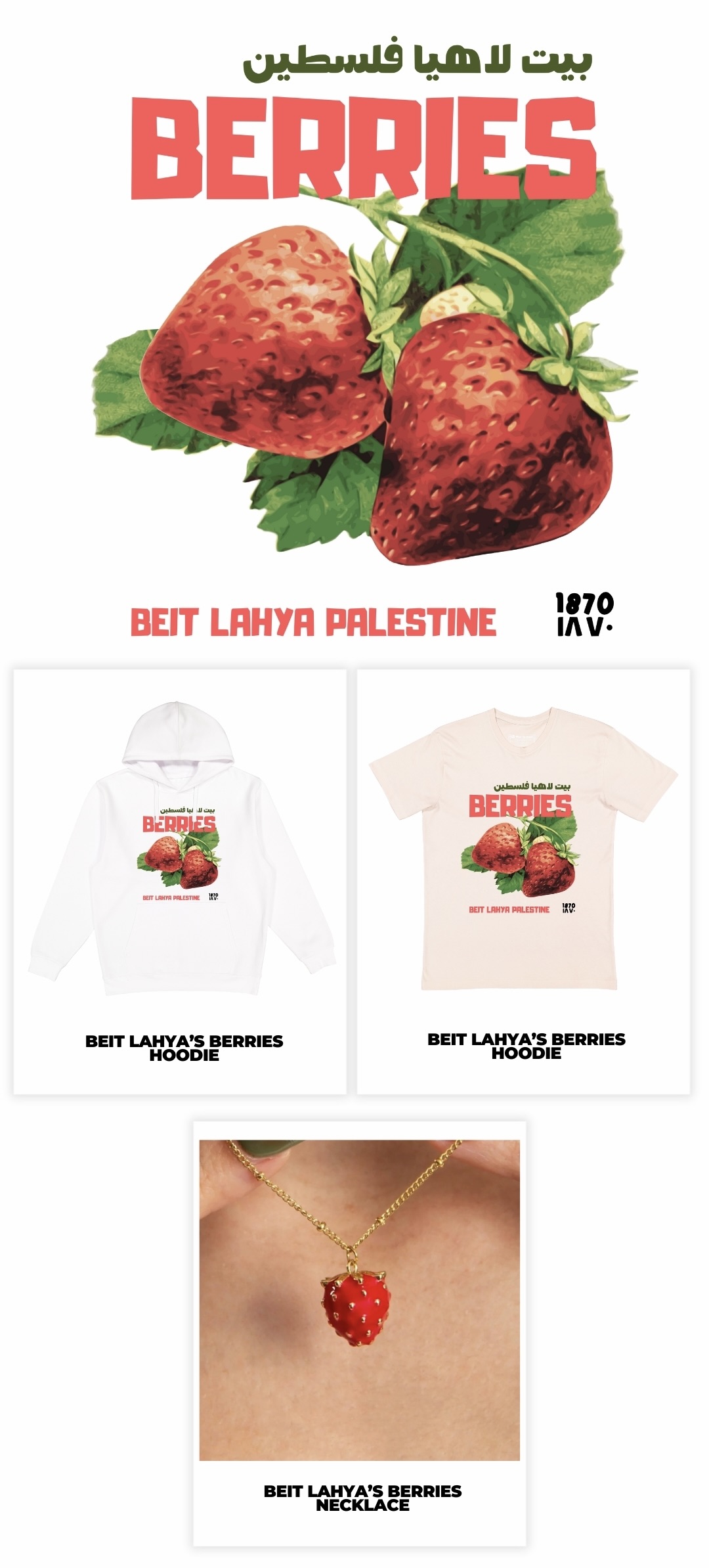 Beit Lahya Collection