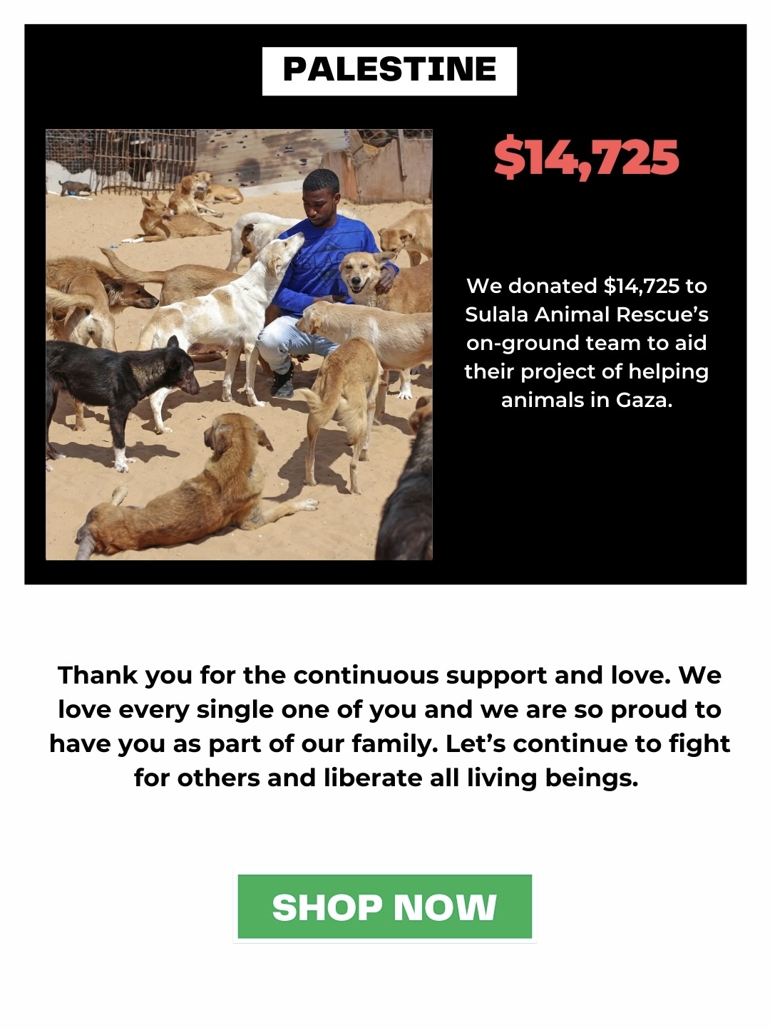 This Weeks Donations