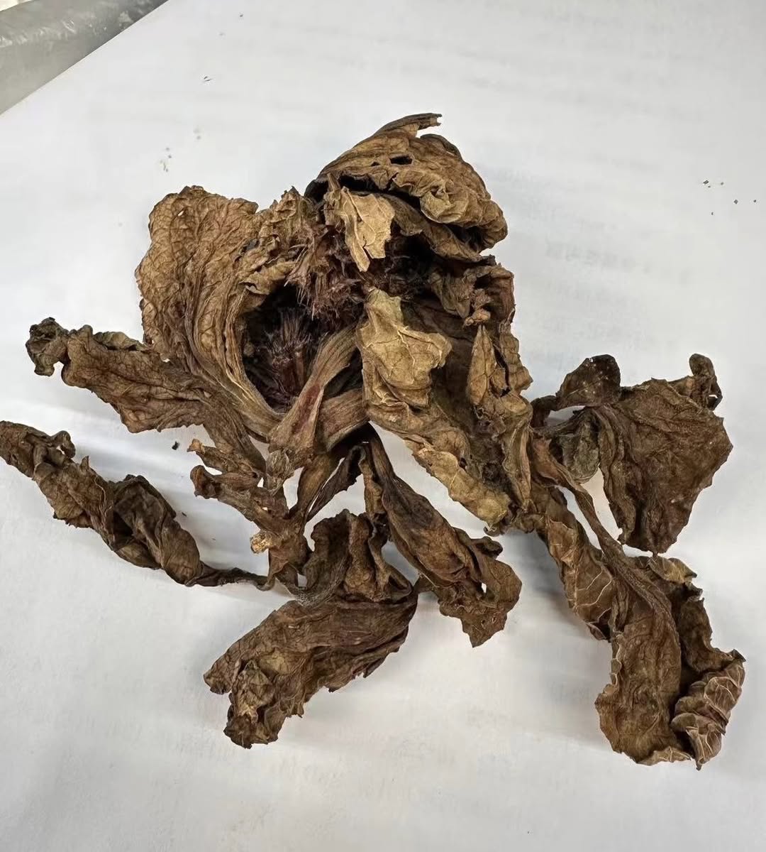 Du Yi Wei after one year in storage