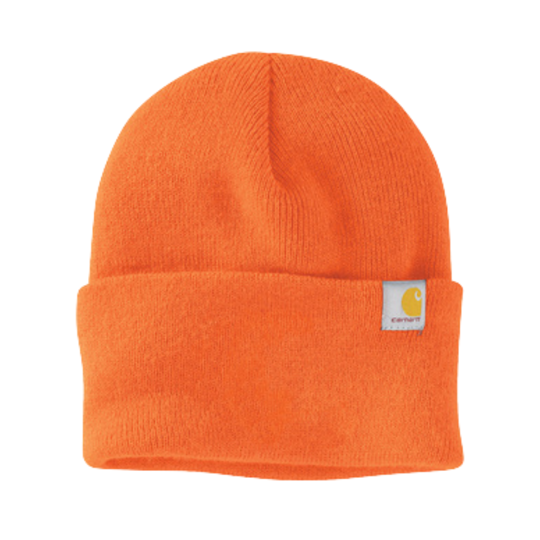 Carhartt Watch Hat 2.0