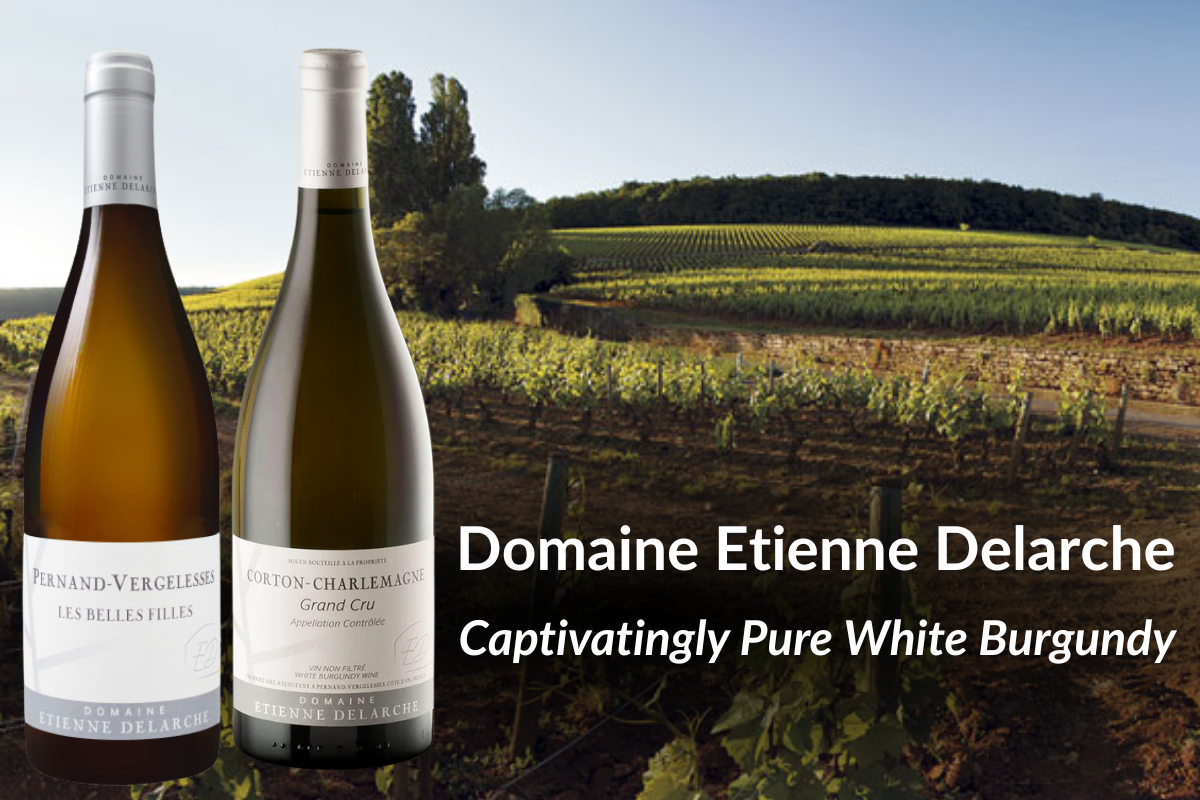 Captivatingly Pure White Burgundy
