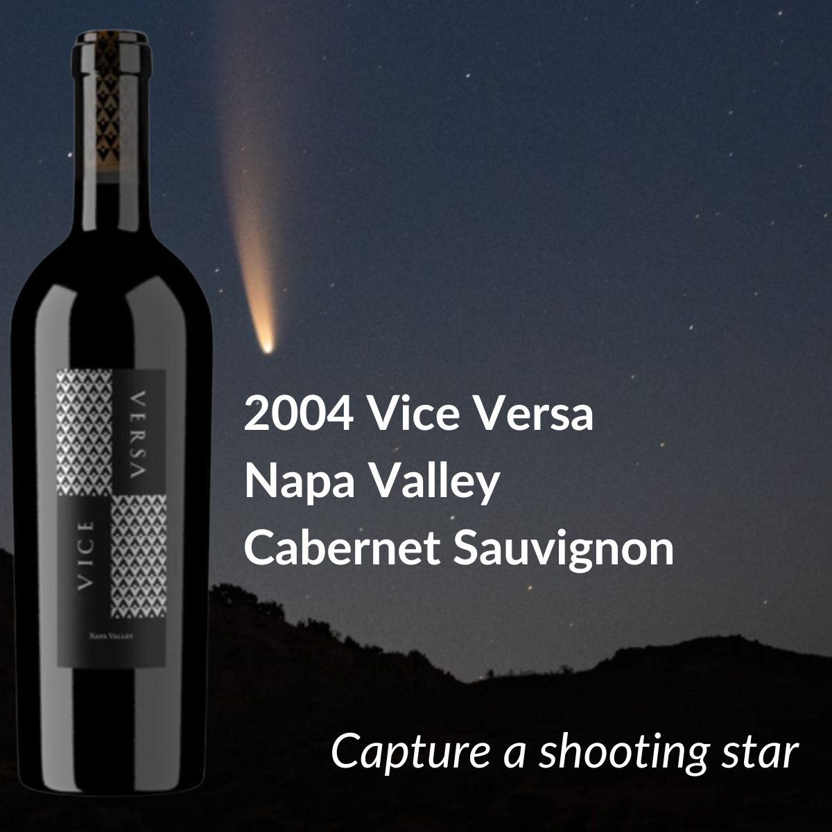 2004 Vice Versa Napa Valley Sauvignon