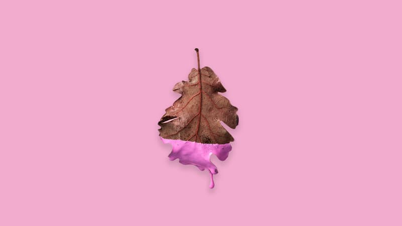 Autumn Has Always Been Poets’ Season