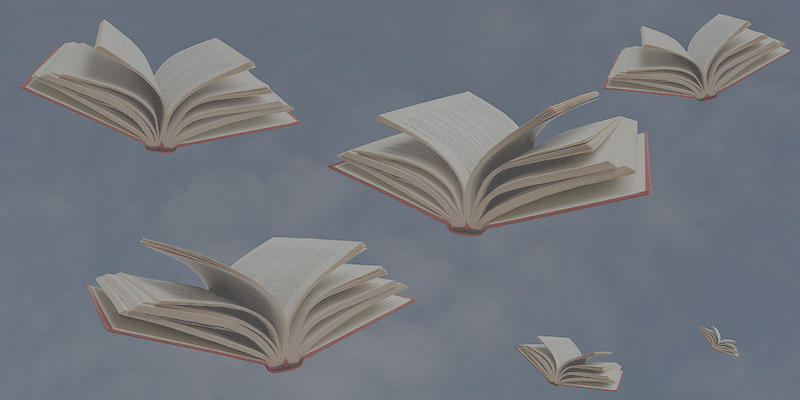 Maris Kreizman on the realities of seeing your book out in the world.
