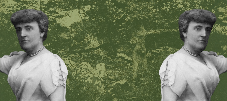 frances hodgson burnett