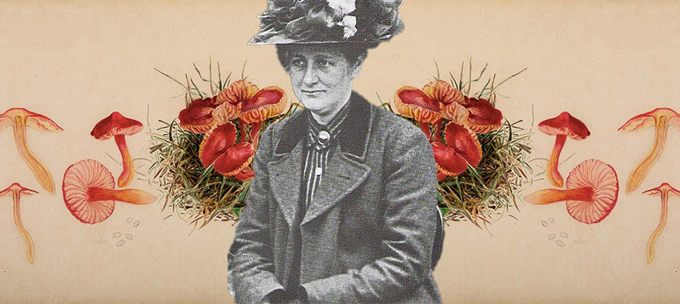 beatrix potter