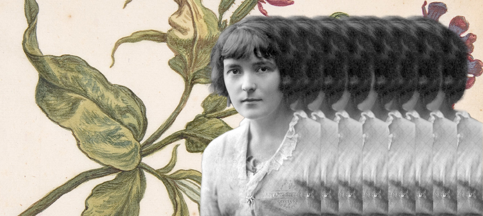 katherine mansfield