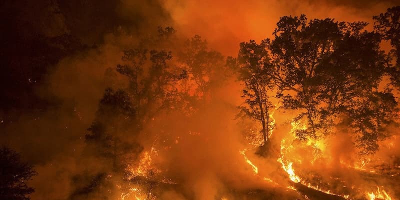 Reconsidering Thoreau in a Burning World