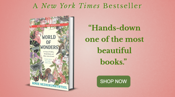 world of wonders