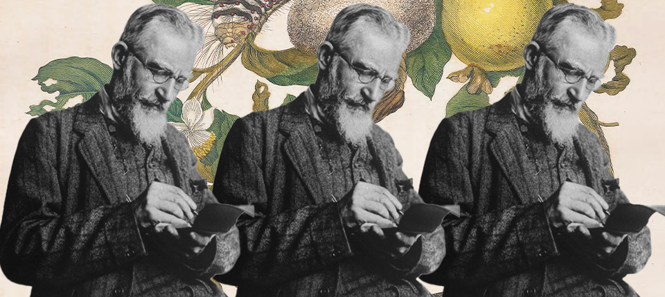 george bernard shaw