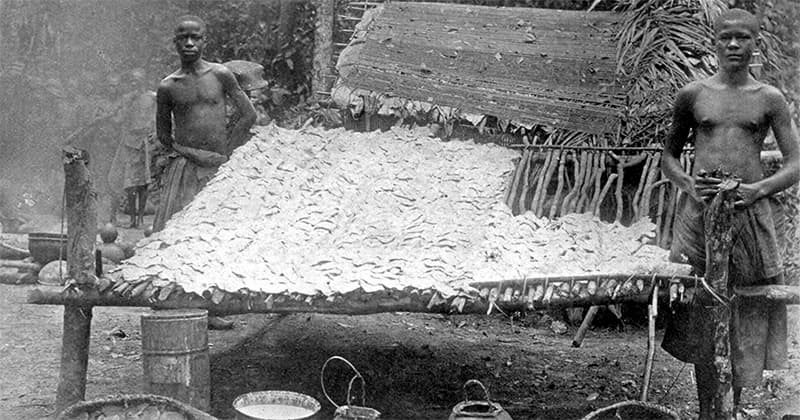 How Heart of Darkness Revealed the Horror of Congo's Rubber Trade