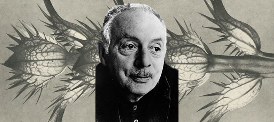 stanley kunitz