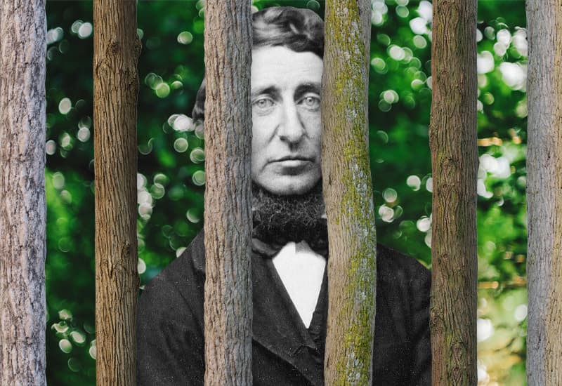 henry david thoreau