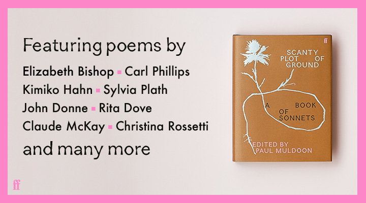 scanty plot of ground