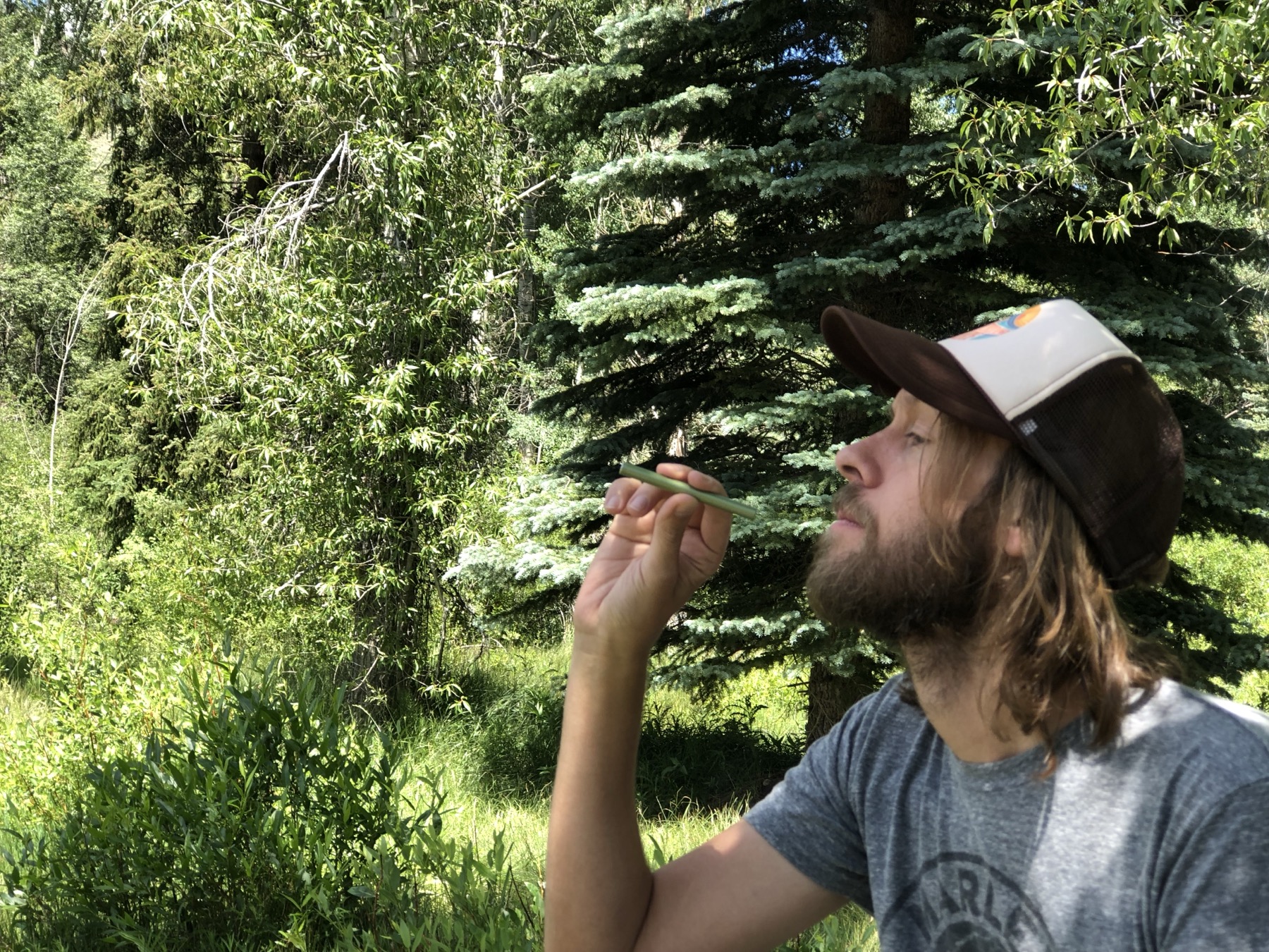 Man tilting face to the sky, inhaling MONQ in dense green surroundings — the body returning to the botanical baseline it was built for