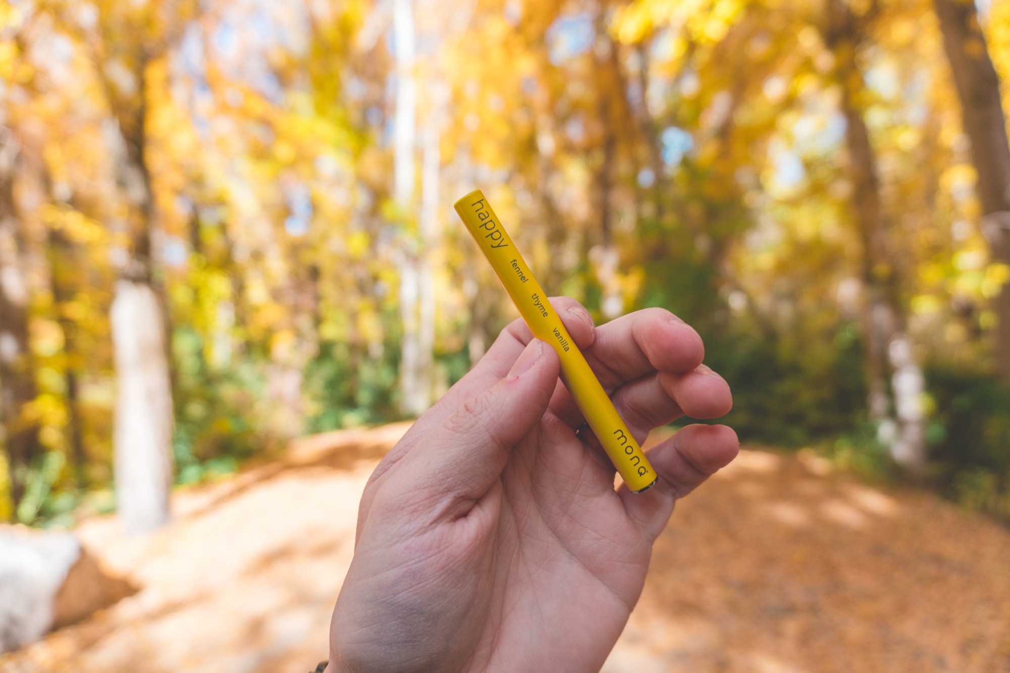 Hand holding MONQ in golden autumn forest — botanical terpenes from plants and trees are bioactive molecules your olfactory system evolved to receive