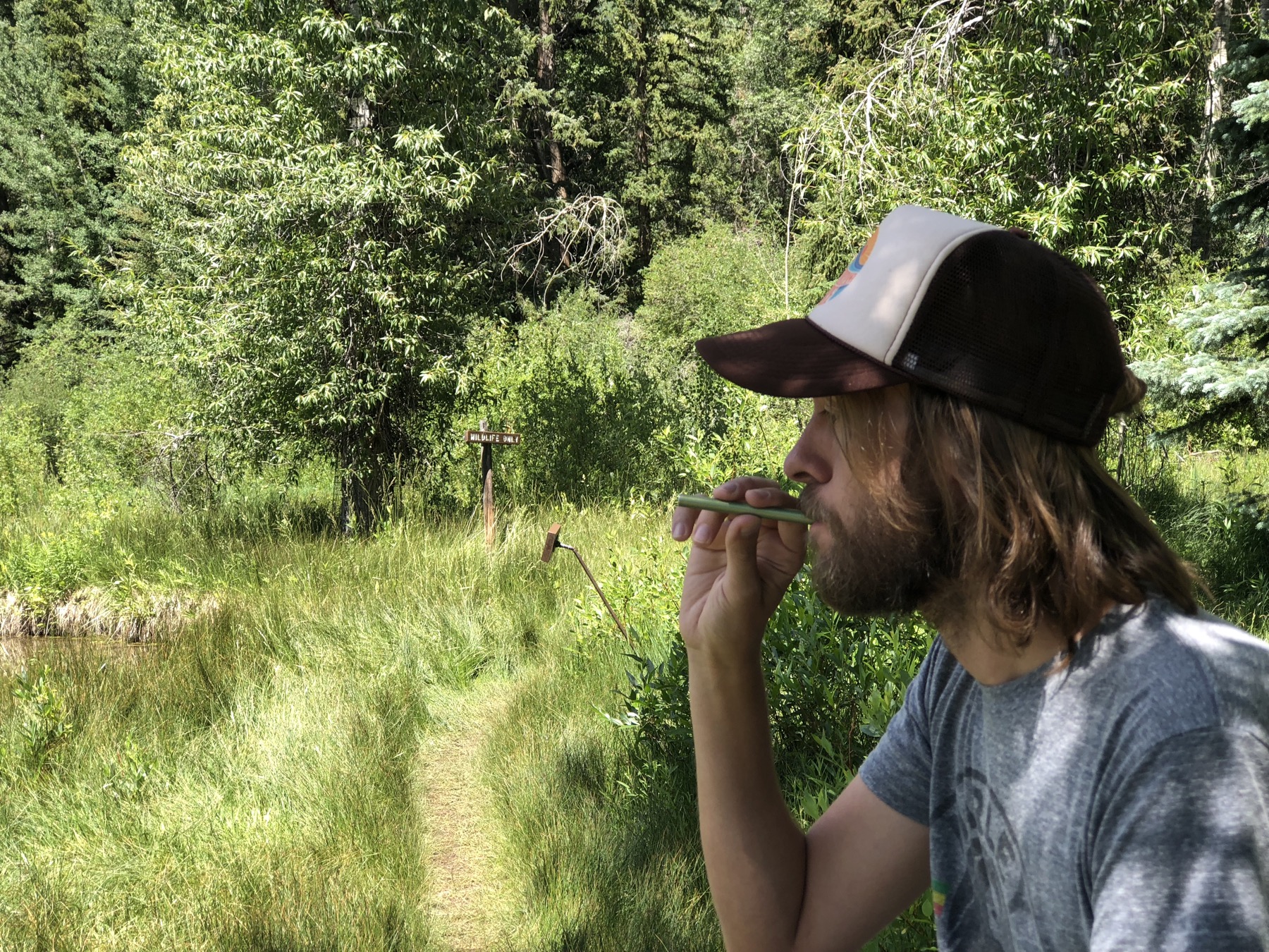 Man using Forest MONQ diffuser on a shaded forest trail — delivering the terpene profile of a conifer forest to the olfactory system in a single breath