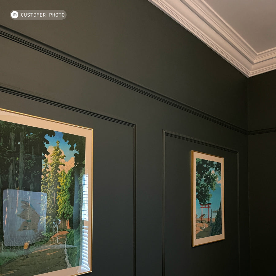 Black Forest paint colour by Placepaints — very dark green inspired by the dense evergreens of Germany's Black Forest
