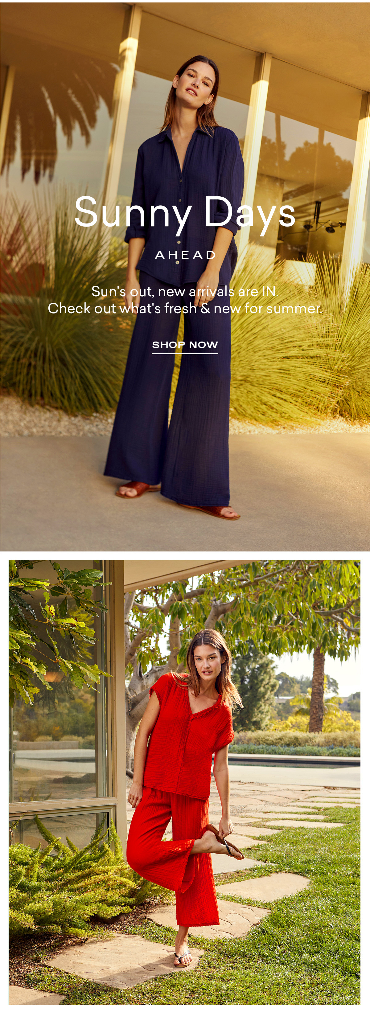 Shop New Arrivals