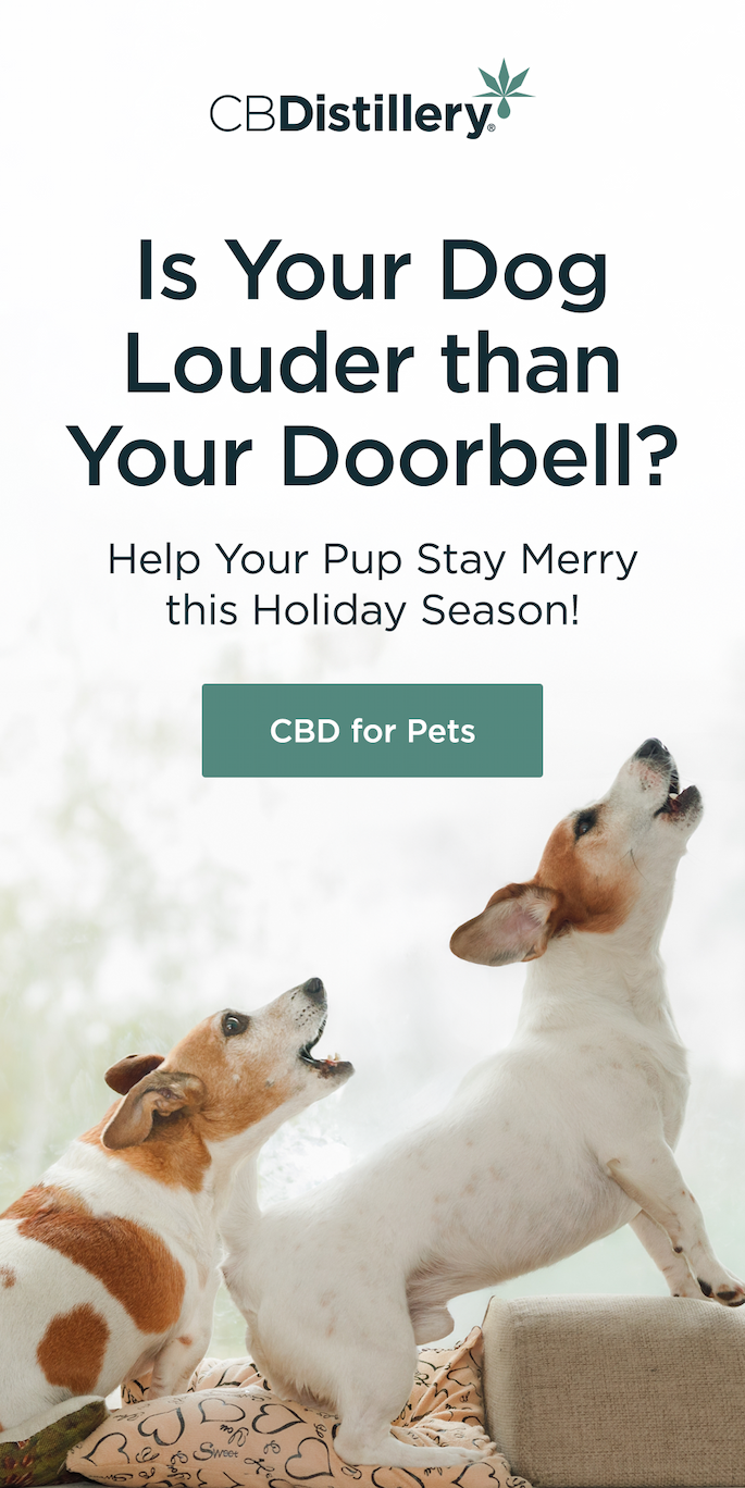 CBD for Pets CBD for Pets