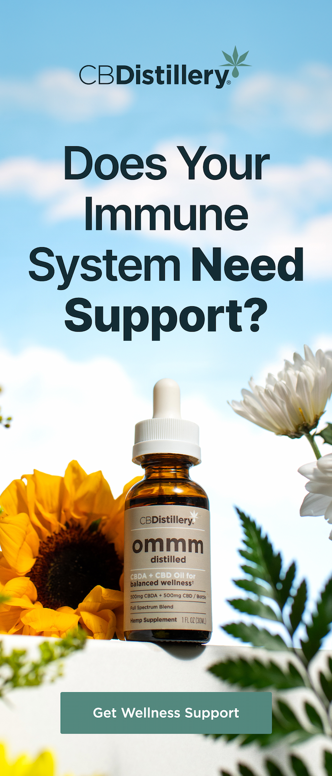 Does your immune system need support? Get Wellness Support