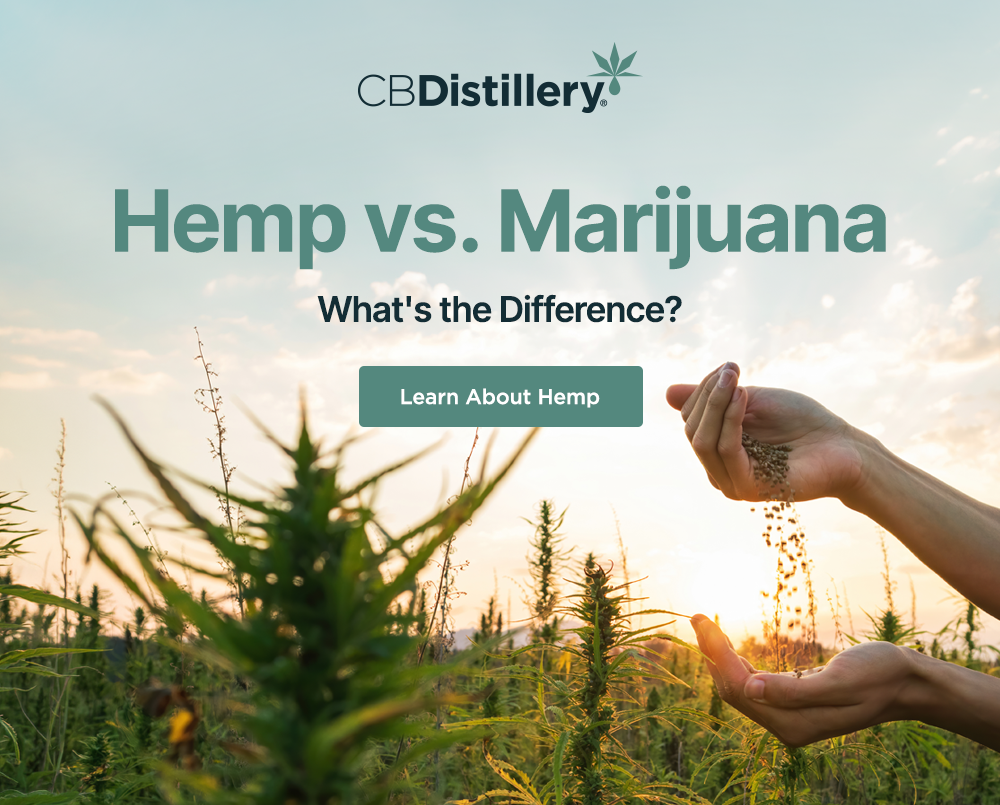 Hemp vs. Marijuana: What's the Difference? Learn About Hemp