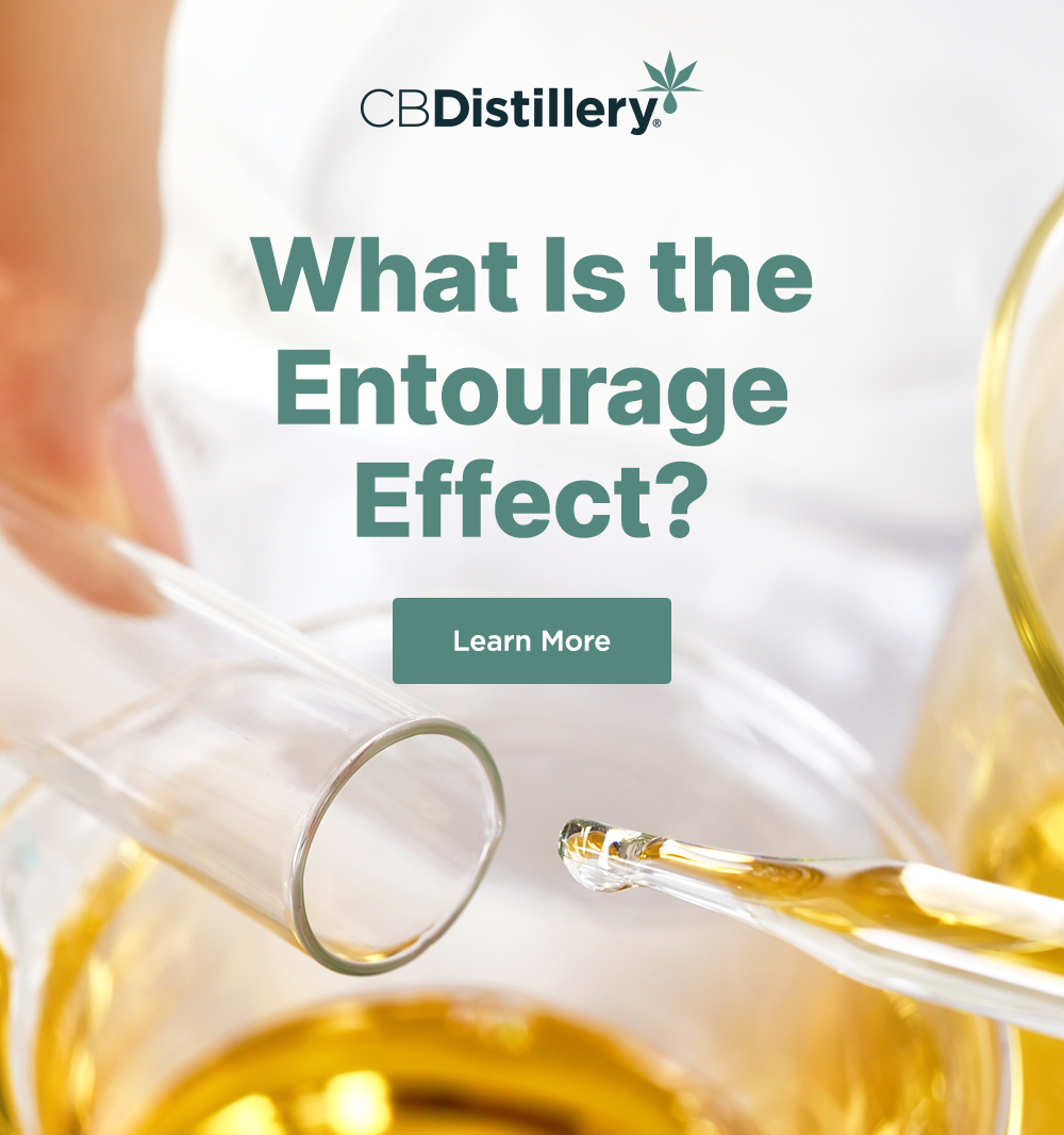 What Is the Entourage Effect? Learn More