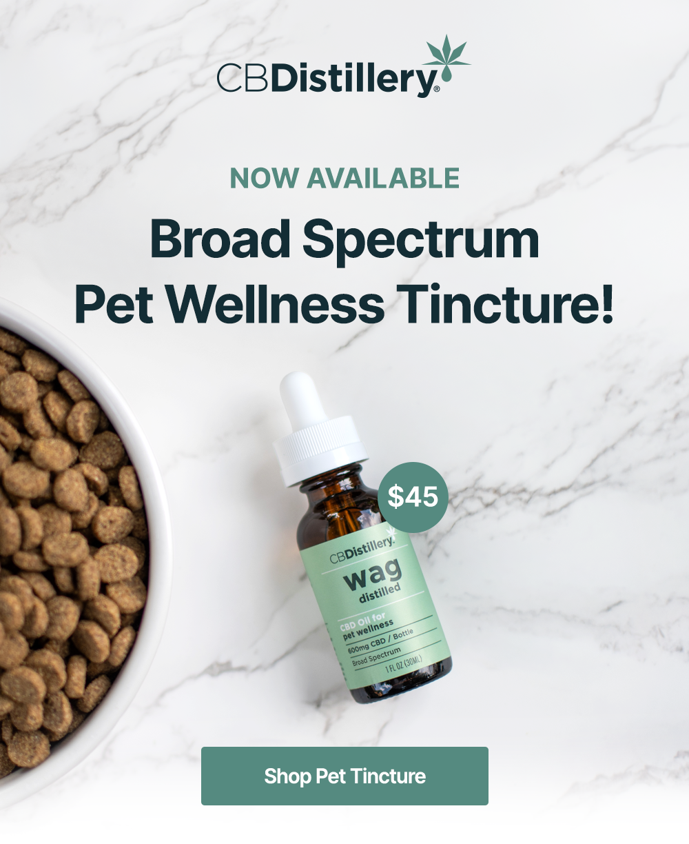 Now Available: Broad Spectrum Pet Wellness Tincture! $45. Shop Pet Tincture. 