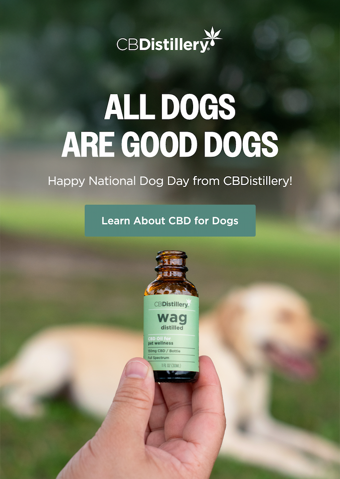 Learn About CBD for Dogs