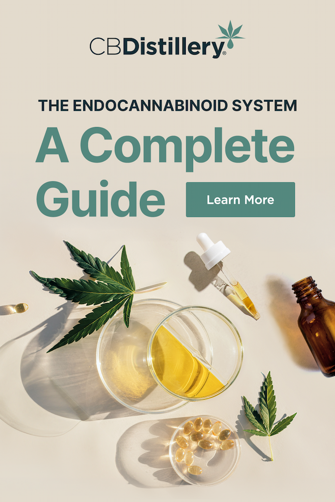 The Endocannabinoid System: A Complete Guide. Learn More The Endocannabinoid System: A Complete Guide. Learn More