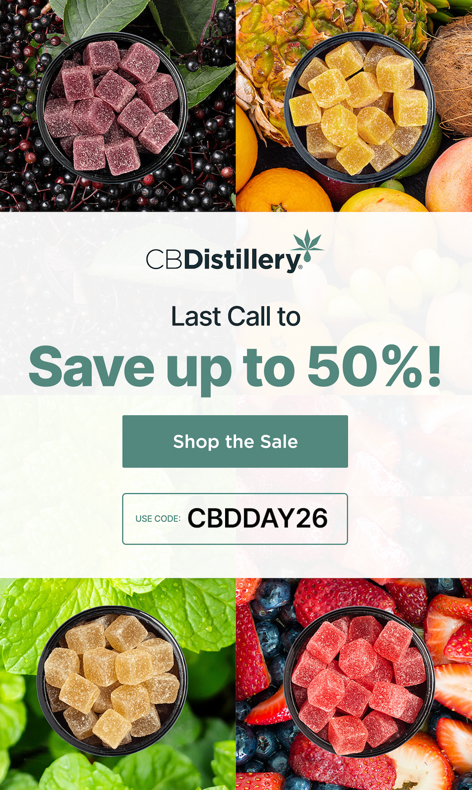 Last Call to Save up to 50%! Shop the Sale use code: CBDDAY26 Last Call to Save up to 50%! Shop the Sale use code: CBDDAY26