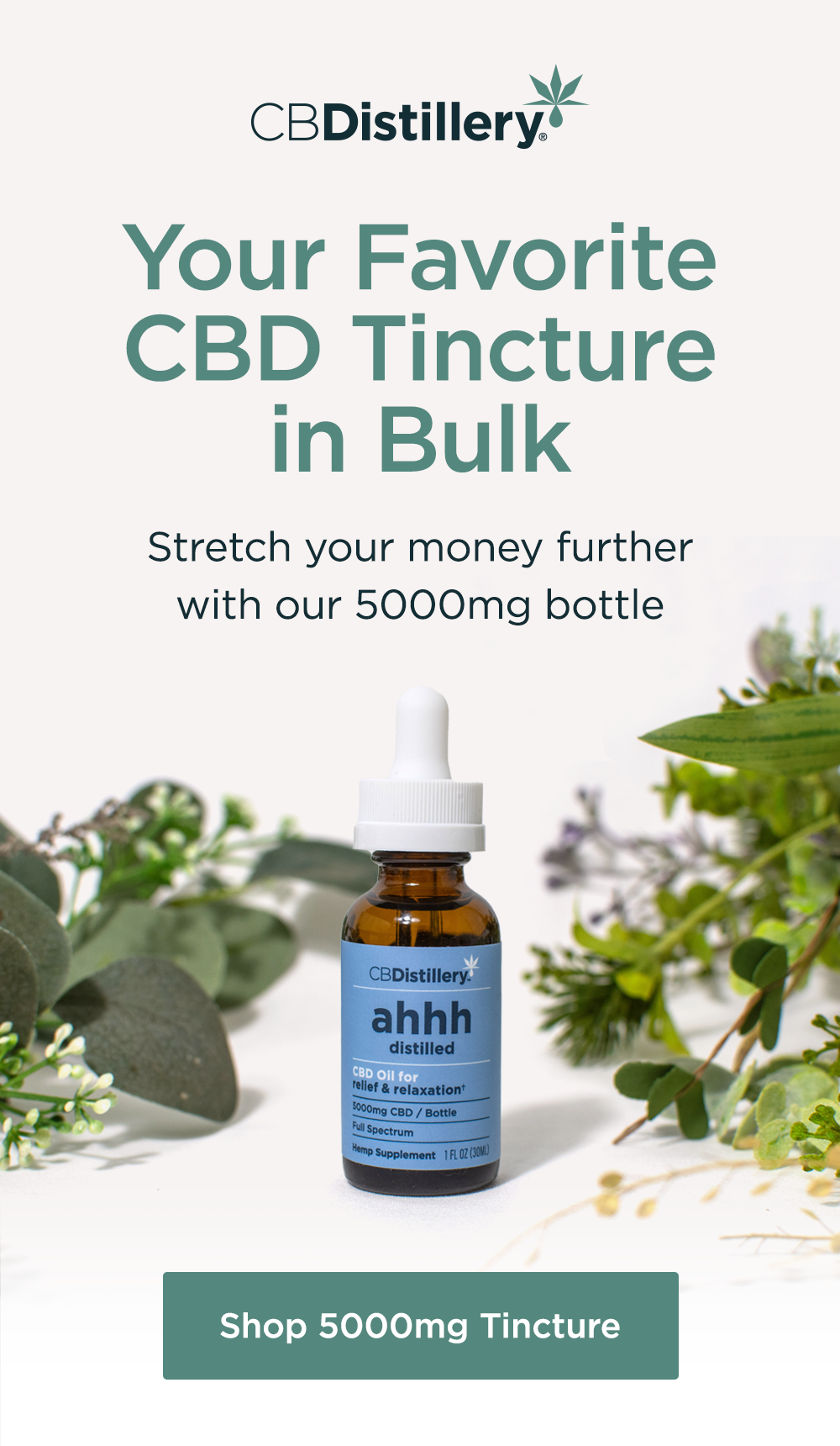 Shop 5000mg Tincture