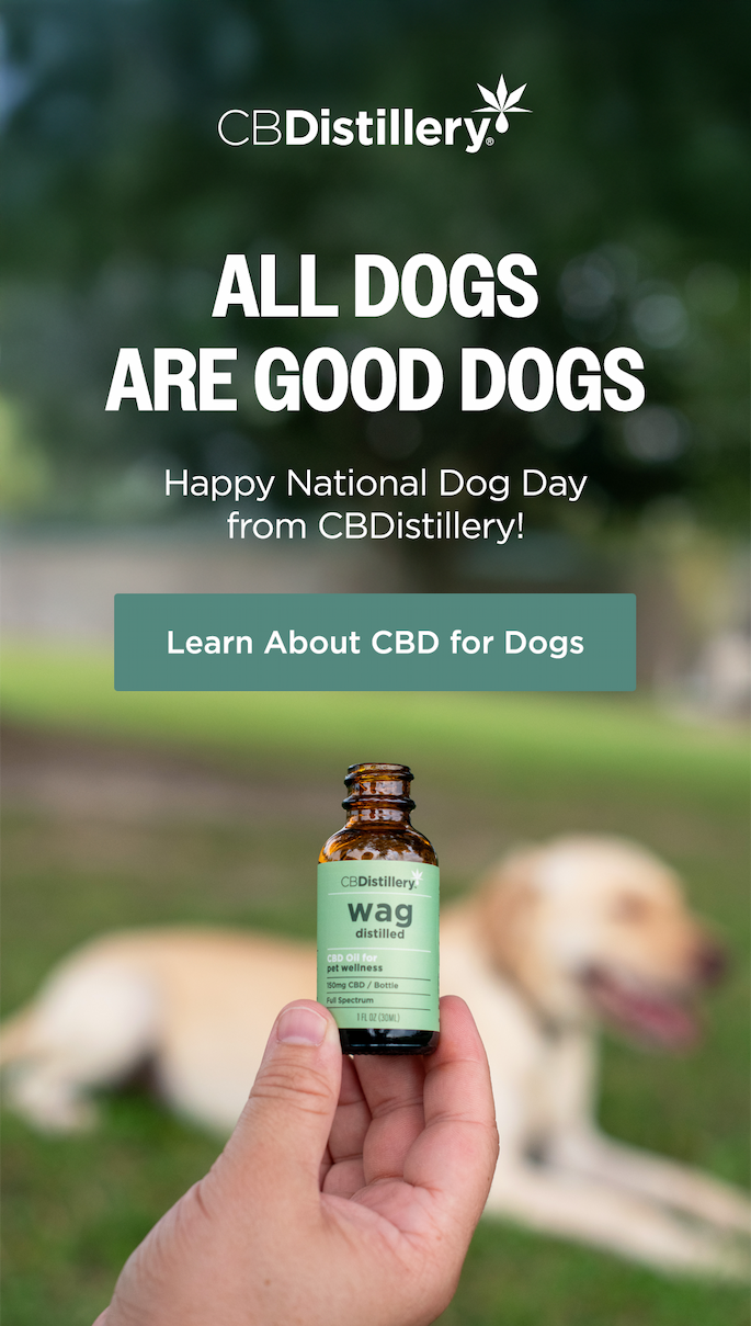Learn About CBD for Dogs Learn About CBD for Dogs