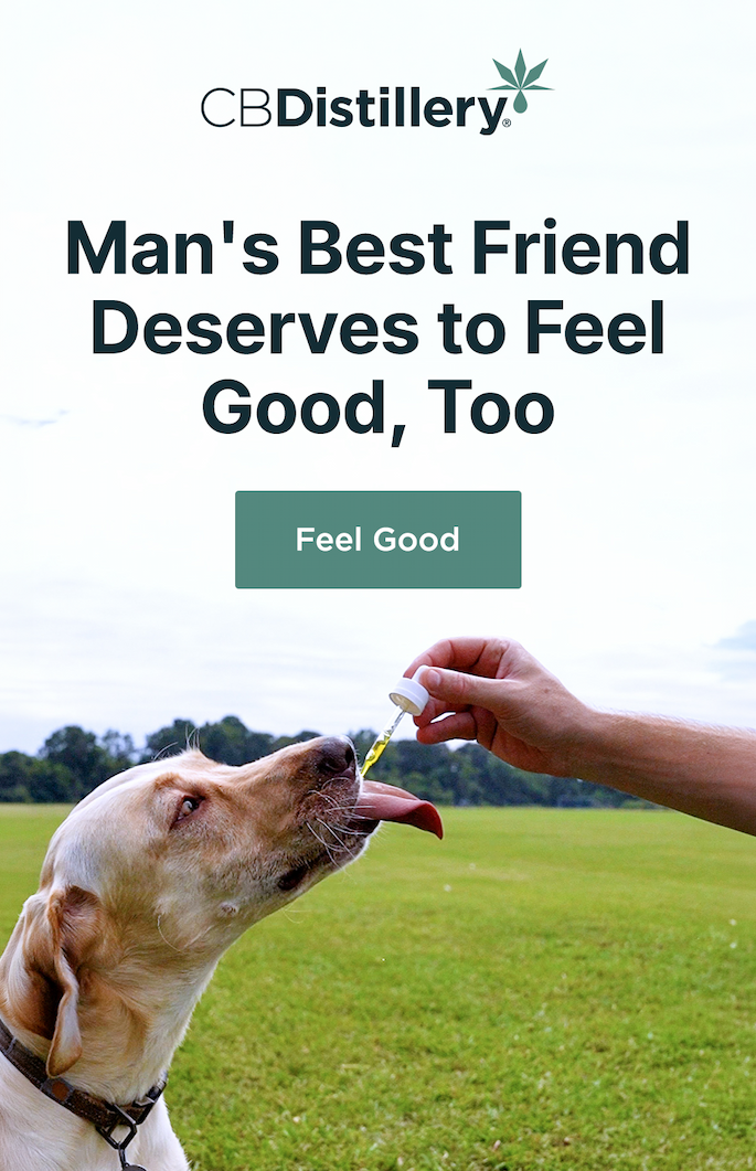 Man's Best Friend Deserves to Feel Good, Too. Feel Good Man's Best Friend Deserves to Feel Good, Too. Feel Good