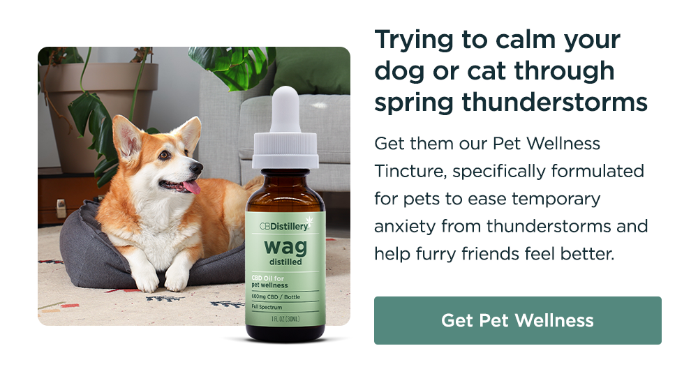 Trying to calm your dog or cat through spring thunderstorms: Get them our Pet Wellness Tincture, specifically formulated for pets to ease temporary anxiety from thunderstorms and help furry friends feel better. Get Pet Wellness