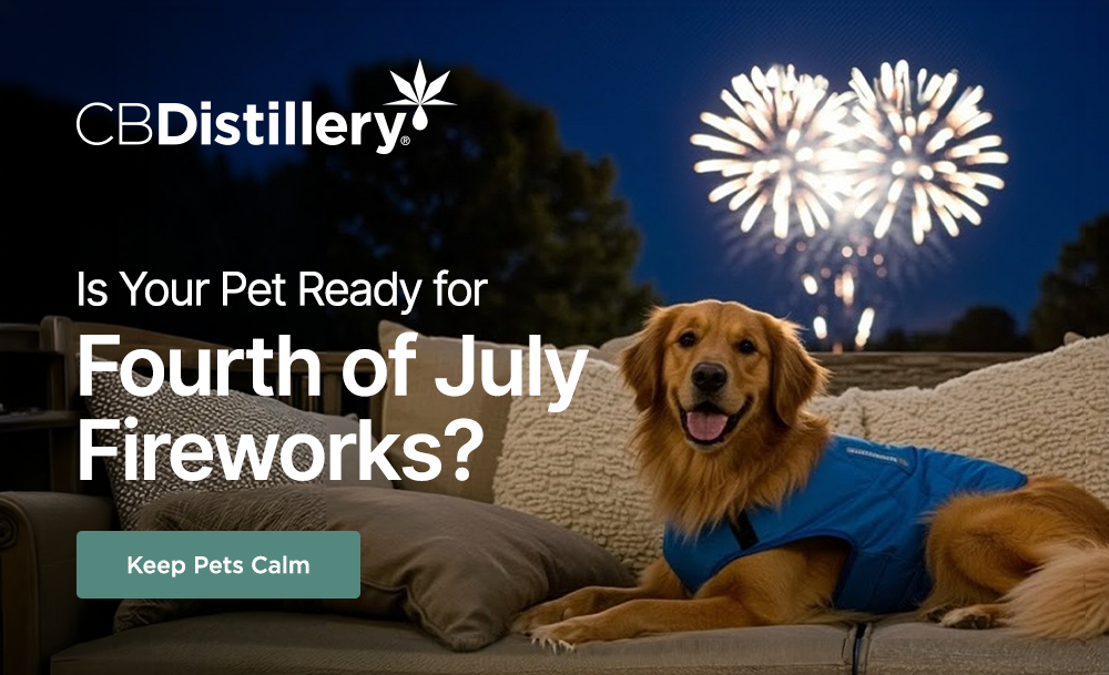 Is Your Pet Ready for Fourth of July Fireworks? Keep Pets Calm