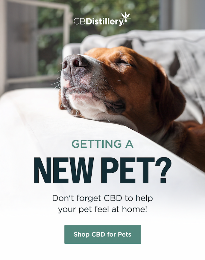 Shop CBD for Pets