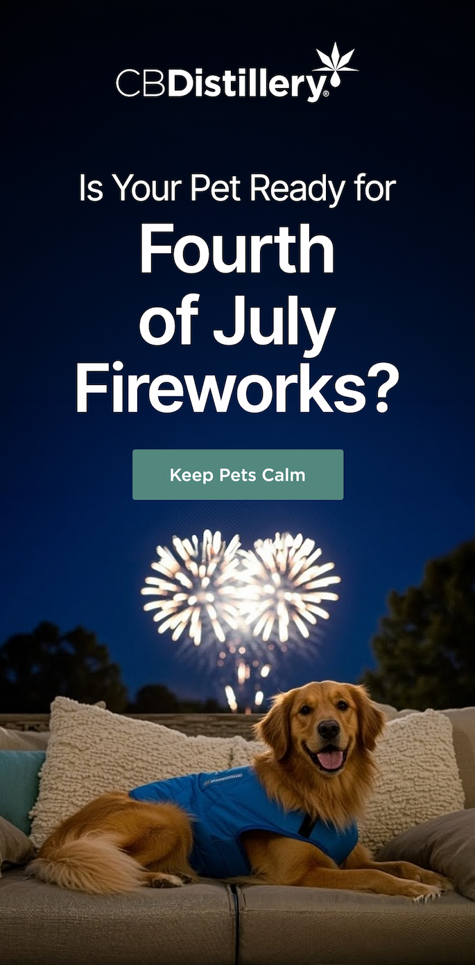 Is Your Pet Ready for Fourth of July Fireworks? Keep Pets Calm