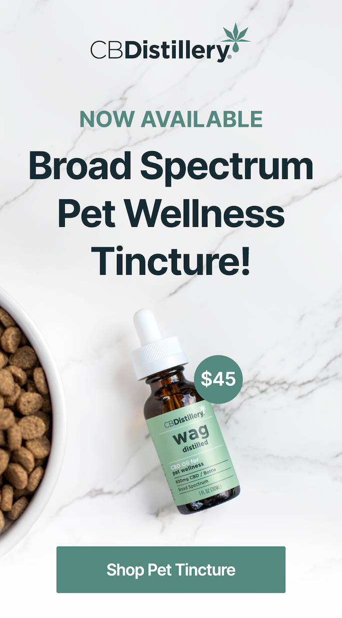 Now Available: Broad Spectrum Pet Wellness Tincture! $45. Shop Pet Tincture. 