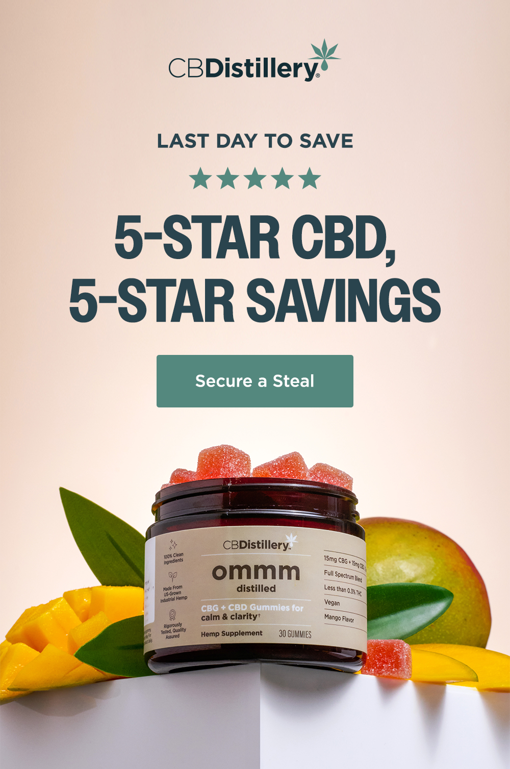 Secure a Steal